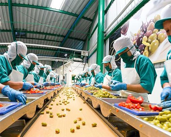 食品、饮料加工领域